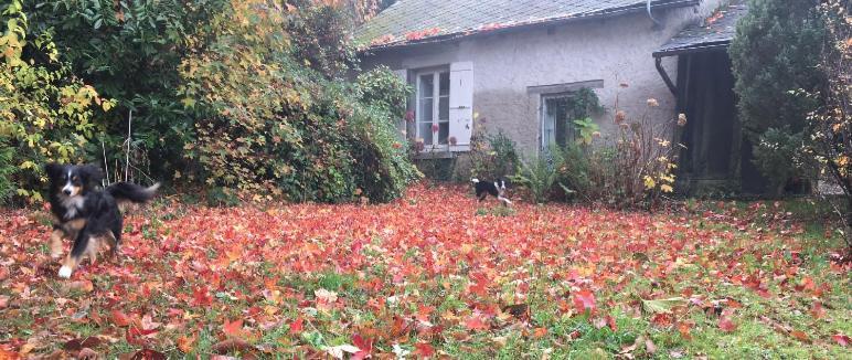 Maison Lyre, Pompadour Hotel Arnac-Pompadour Luaran gambar
